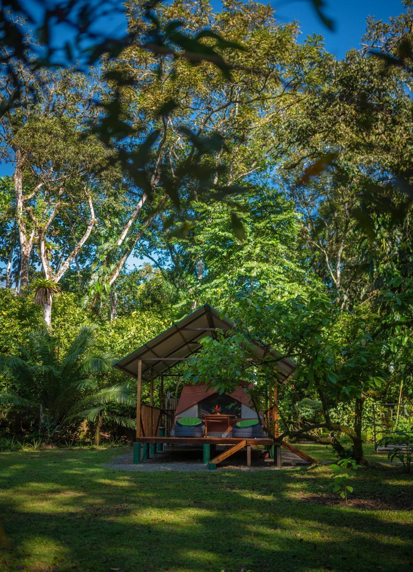 Dolphin Quest Costa Rica Villa Piedras Blancas Dış mekan fotoğraf
